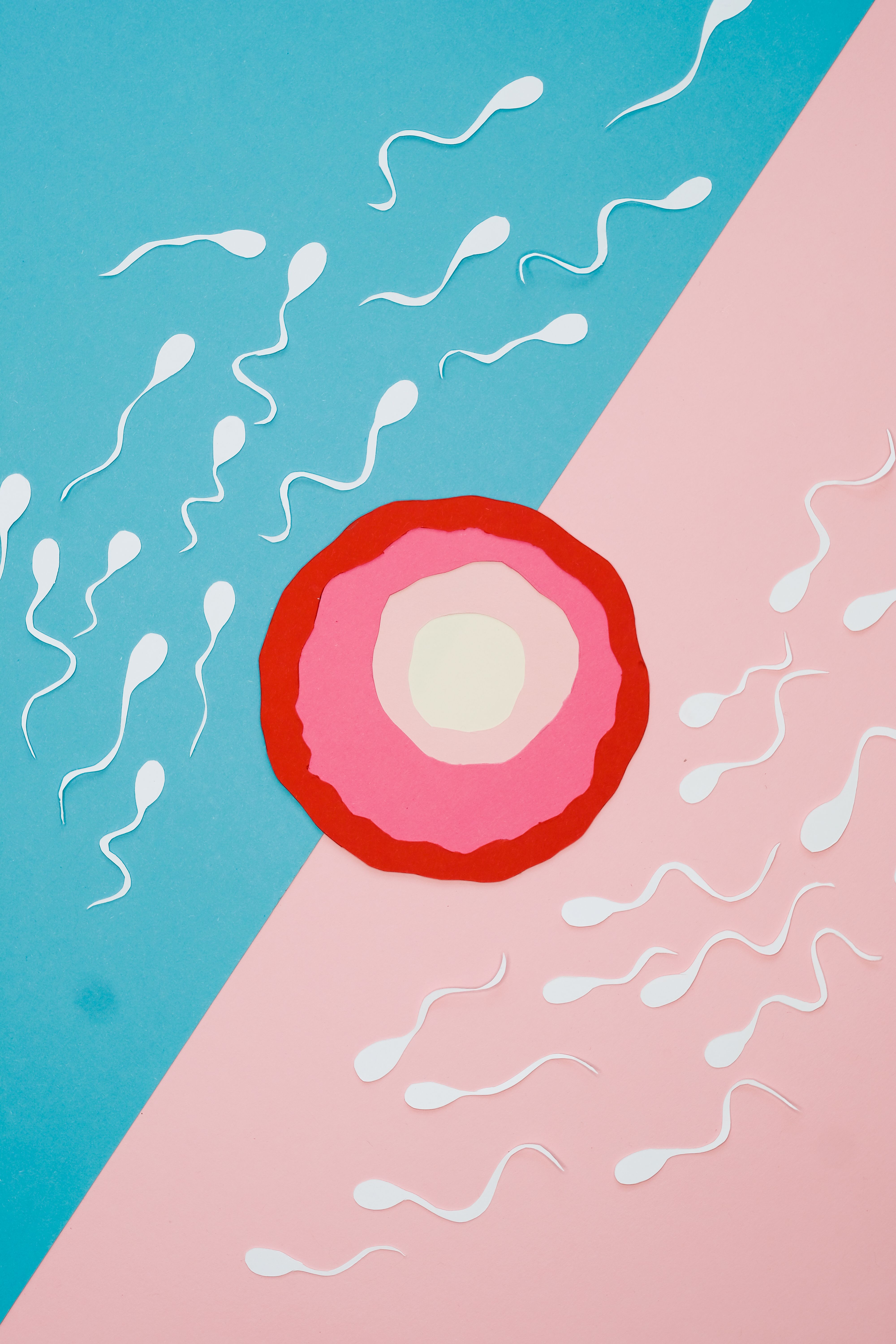 Abstract artwork in coral, blue, cream, and burgundy